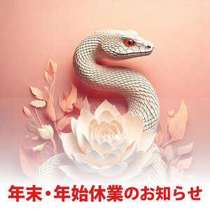 埋込画像
